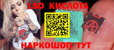 гидропоника Тара