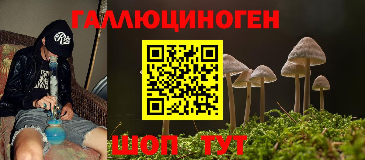 закладка  Вход с VPN  Ахтубинск  Псилоцибиновые грибы ЛСД 