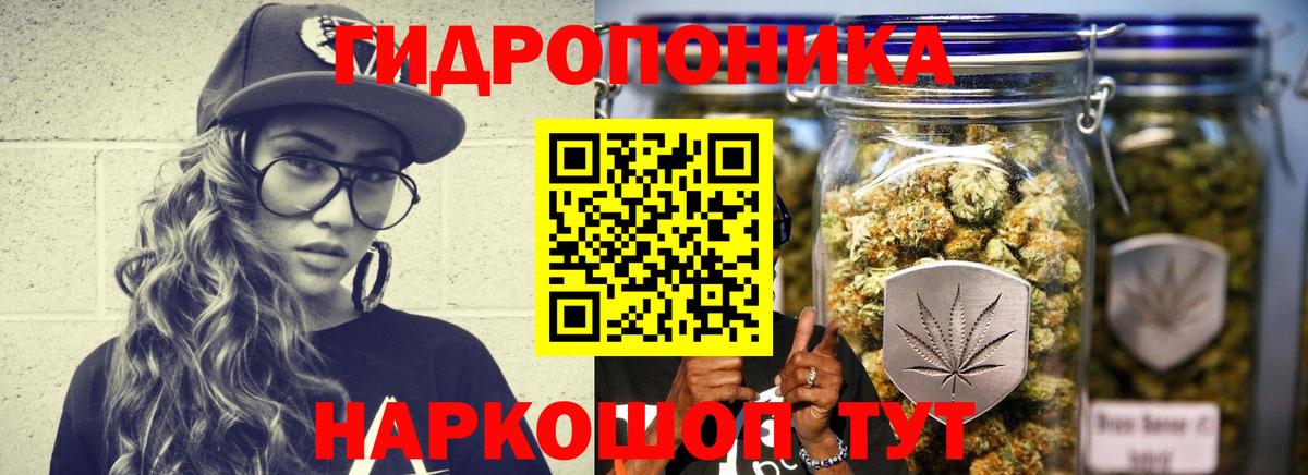 Шишки марихуана SATIVA & INDICA Ахтубинск